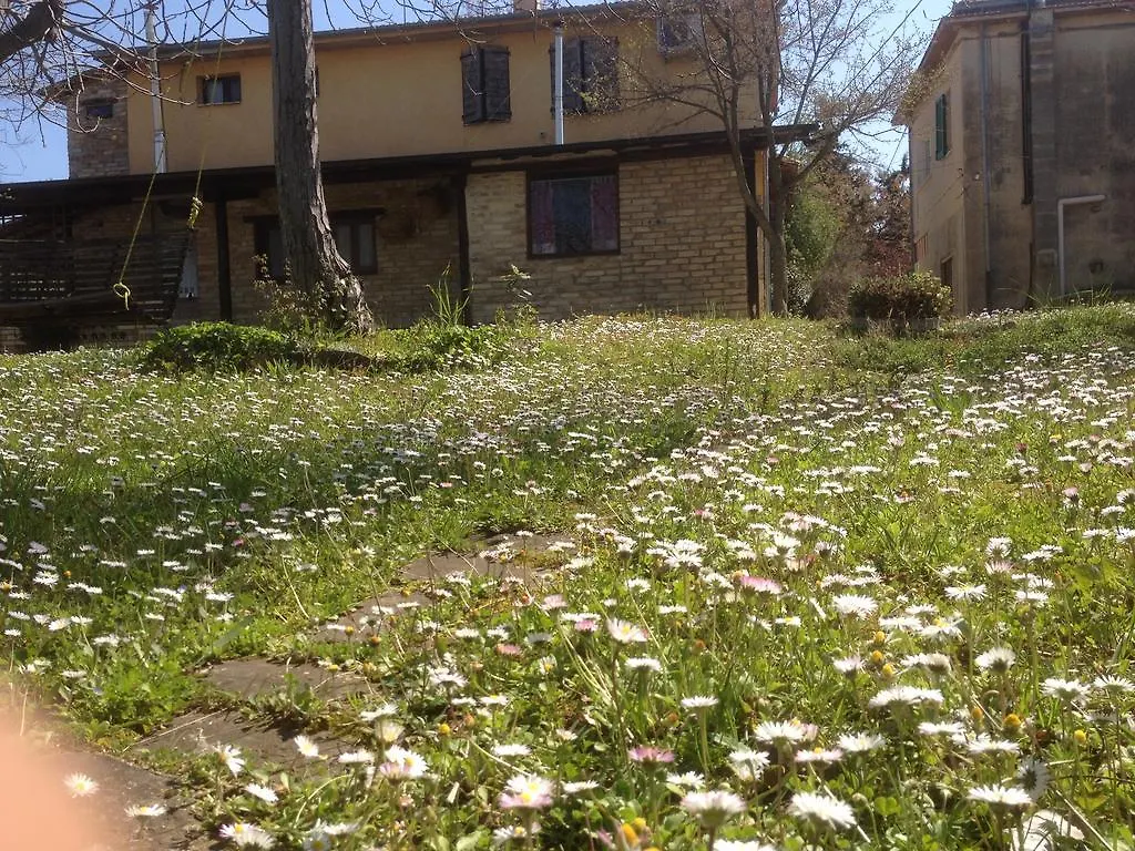 Farm stay Agriturismo Via Del Campo Villa Pianella Italy